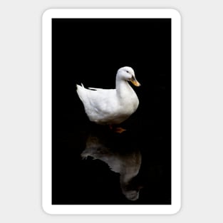 black duck pattern Sticker